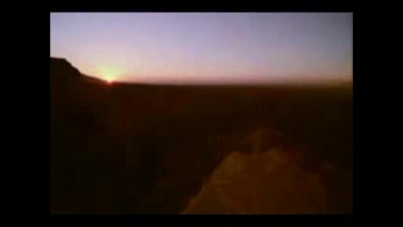 Лошади только они