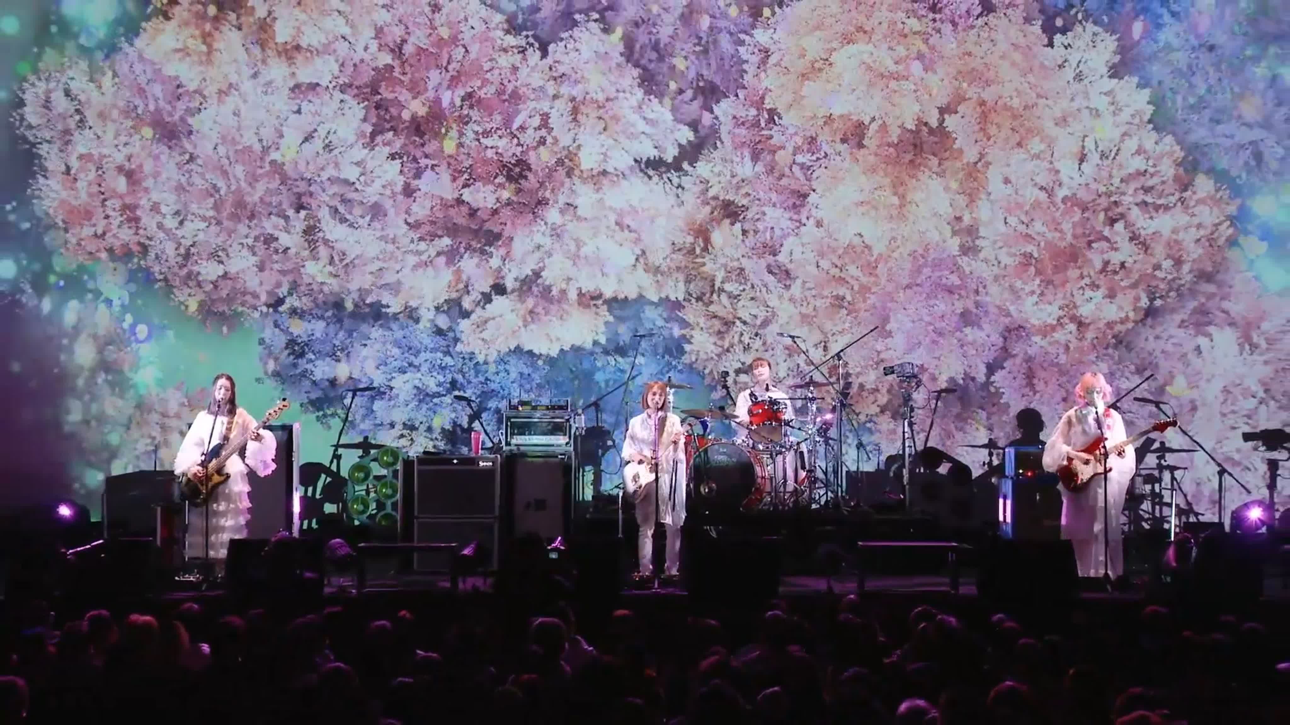 SCANDAL SEASONS collaborated with NAKED (2020.12.24)