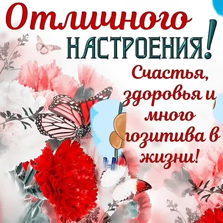 Мир поздравлений