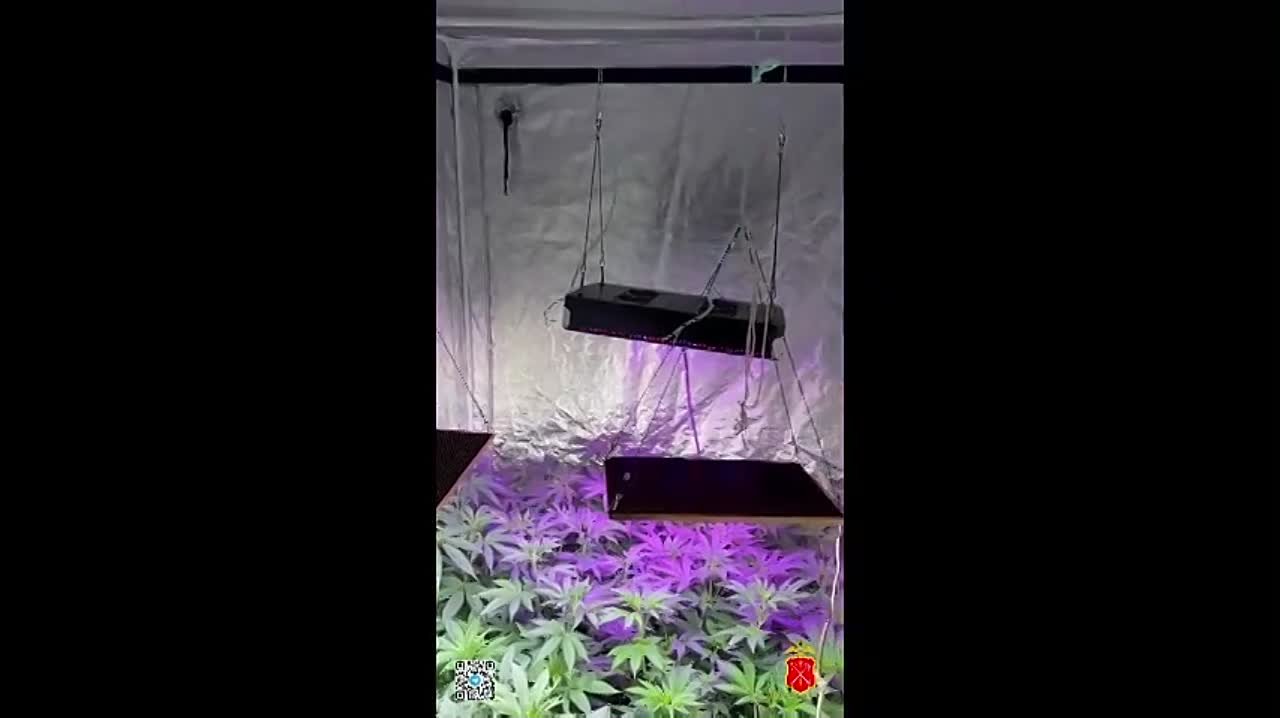 Оперативное видео