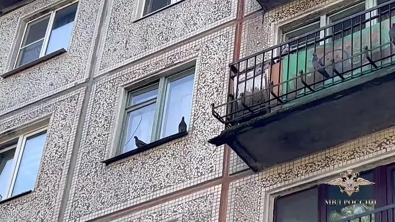 Комментарий официального представителя МВД России И.В.Волк