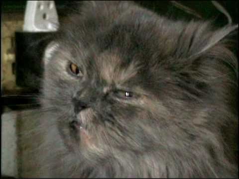 Творчество Олега Власова