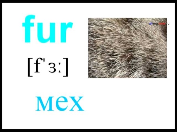 Одежда - Clothes