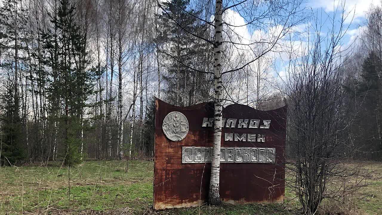 Вечера поэзии, спектакли