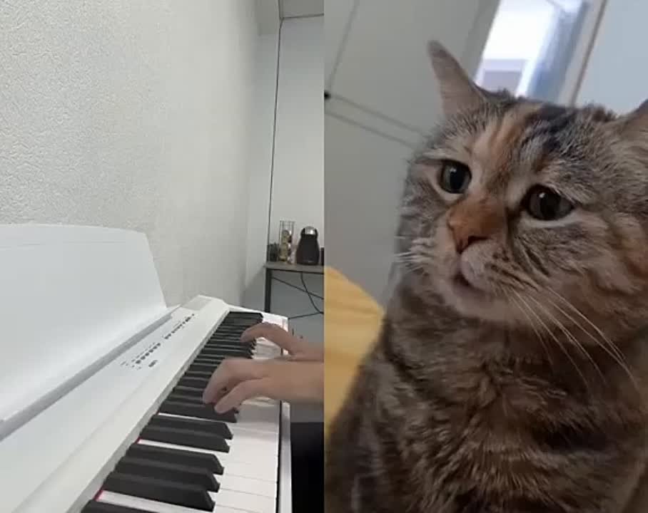 Интересное.