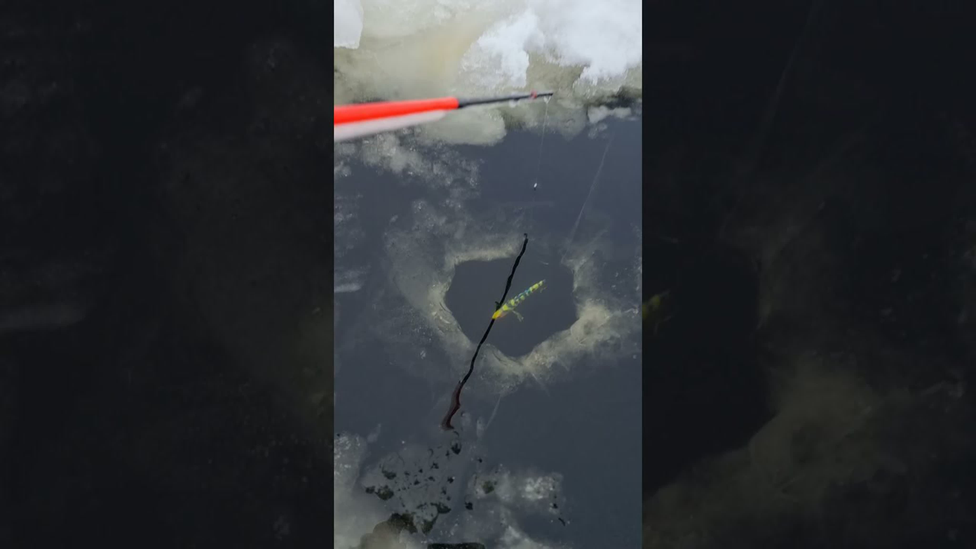 Рыбалка на окуня, ловля окуня