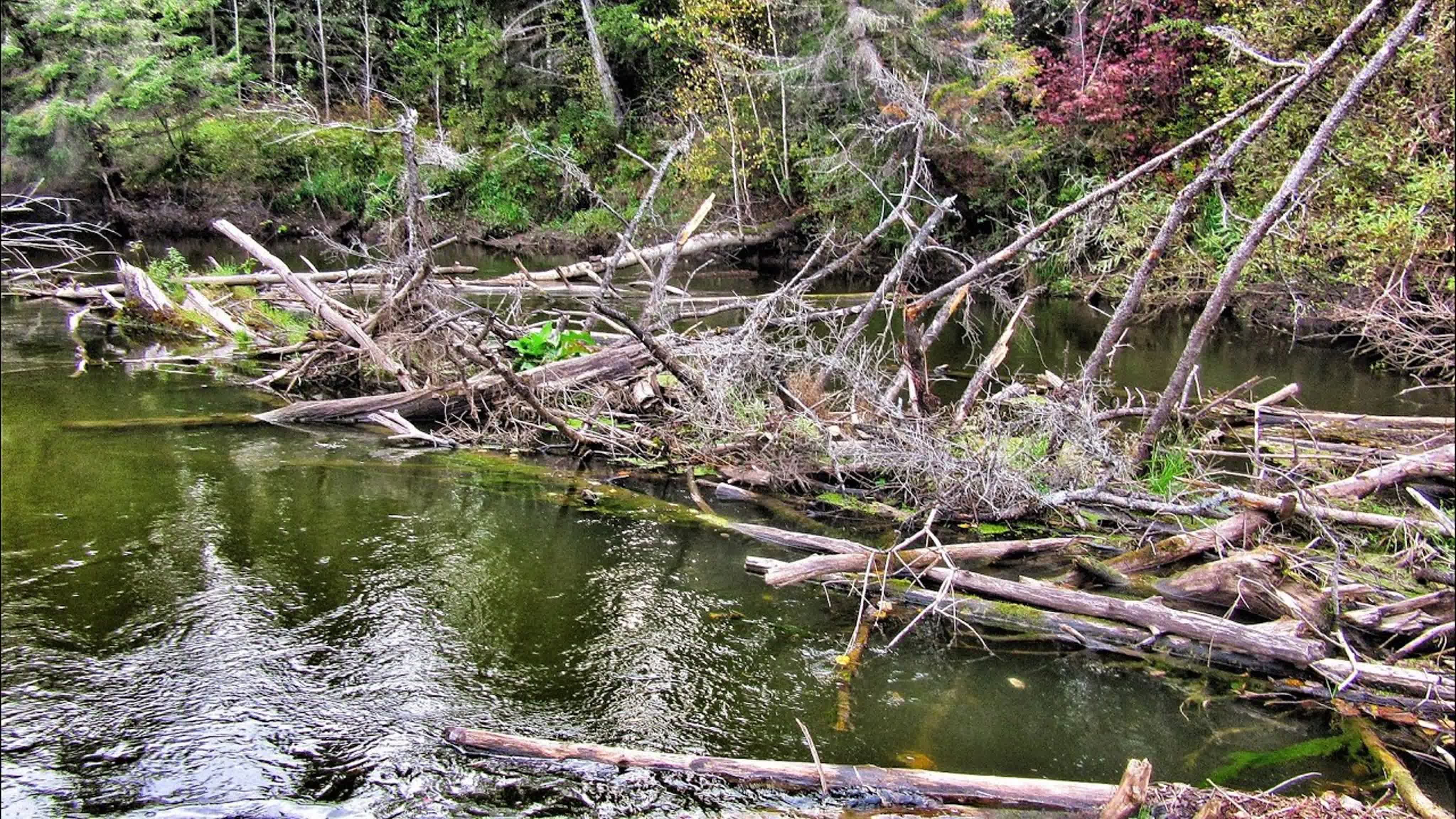 Рыбалка с лодки, моторы, лодки пвх