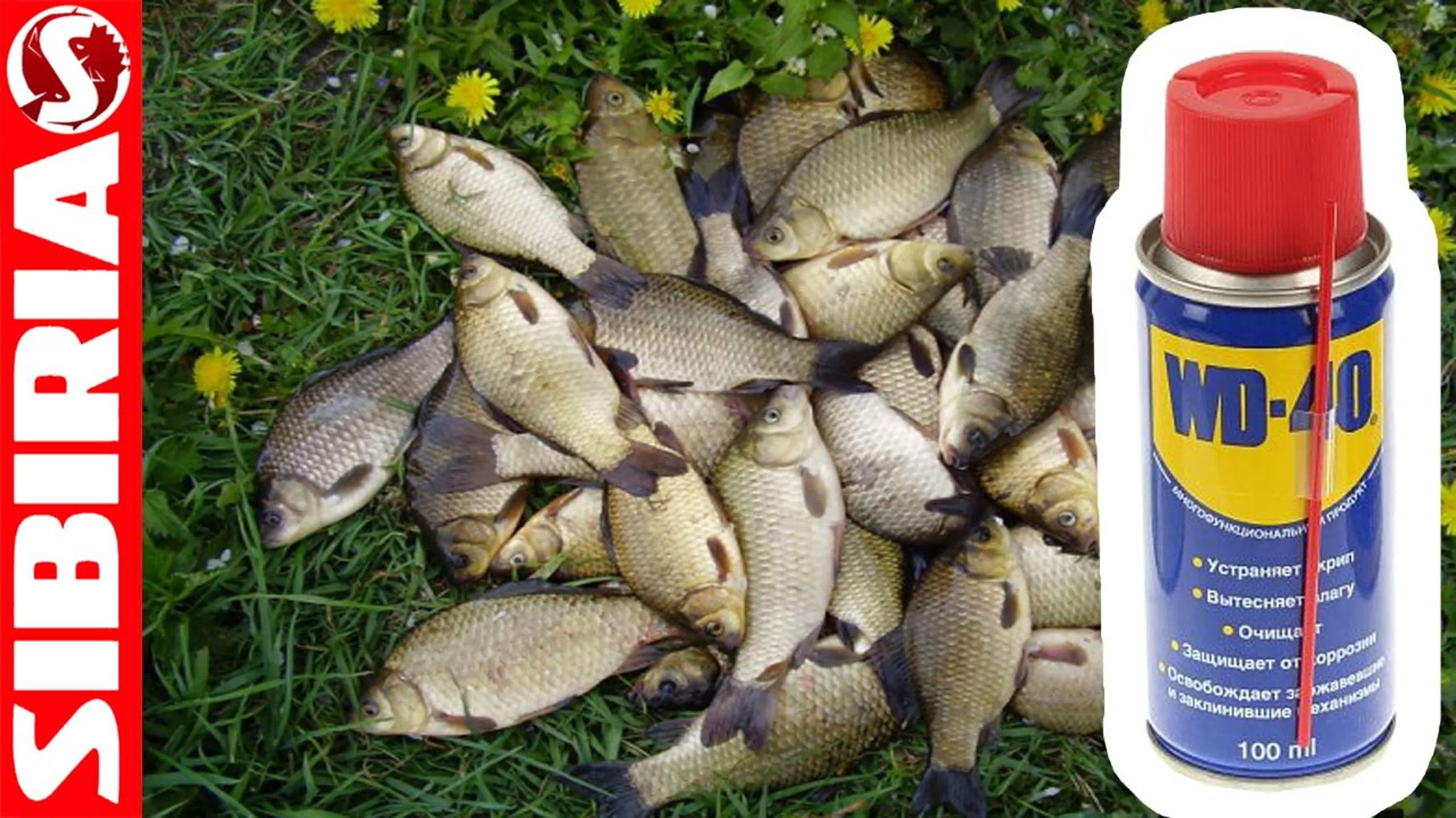 Ловля КАРАСЯ, рыбалка на карася