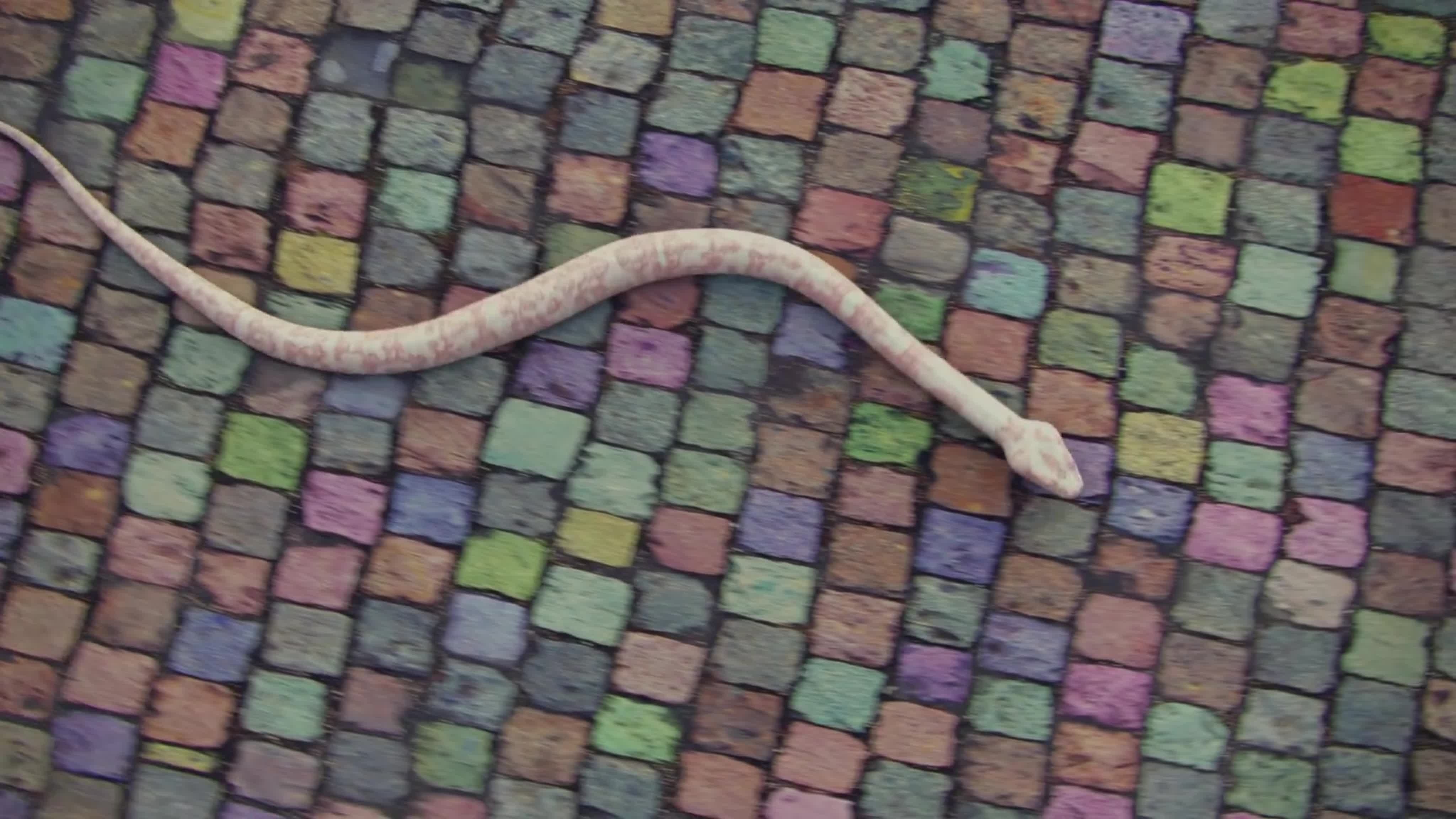 Музыкальные видеоклипы