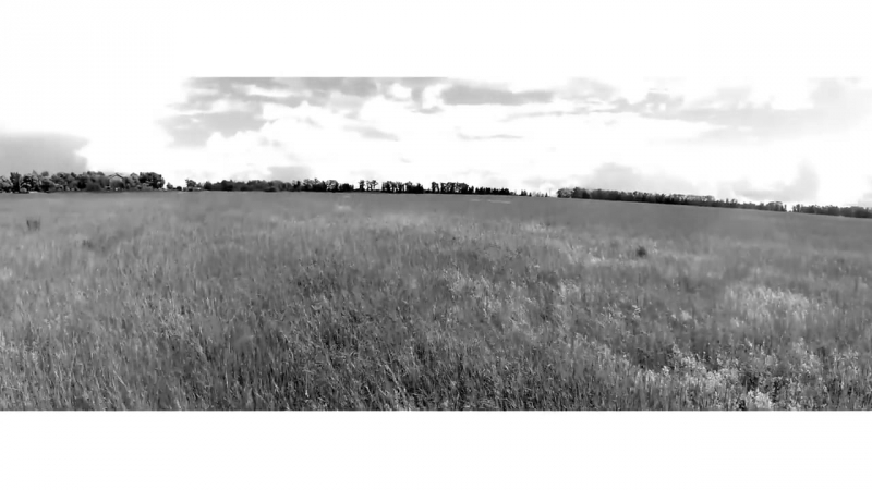 проект "Творцы истории"