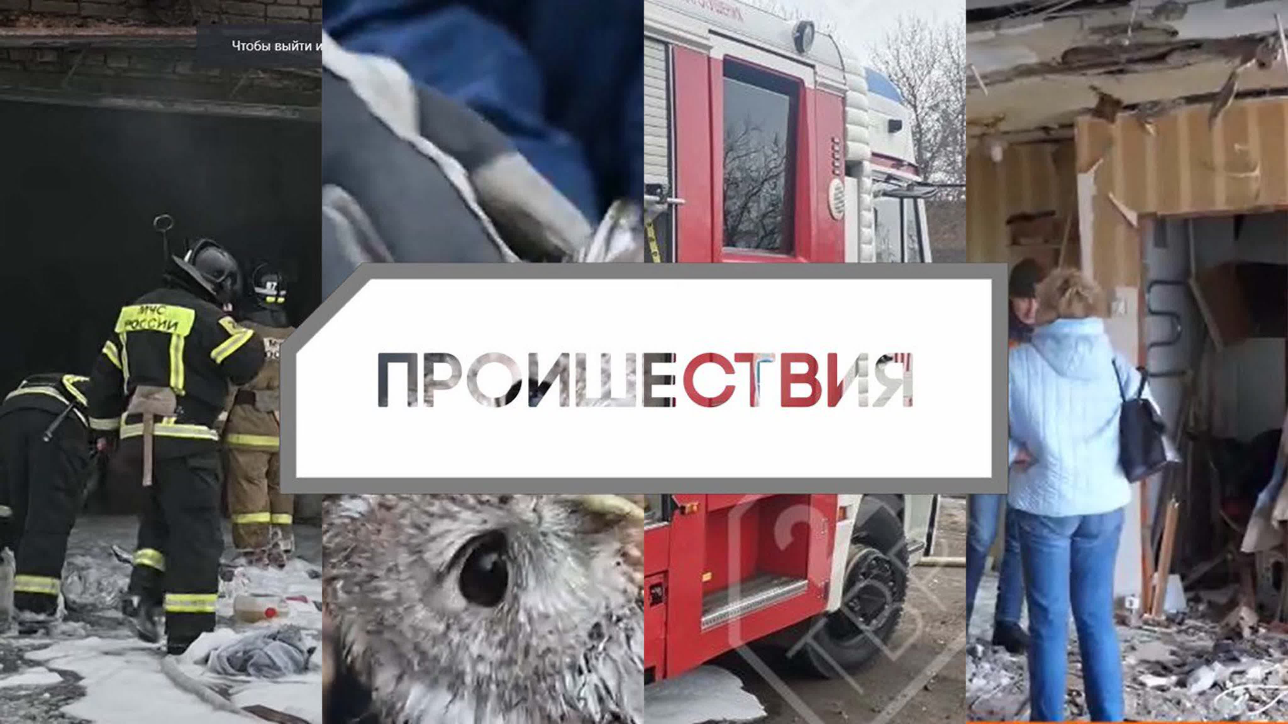 Происшествия