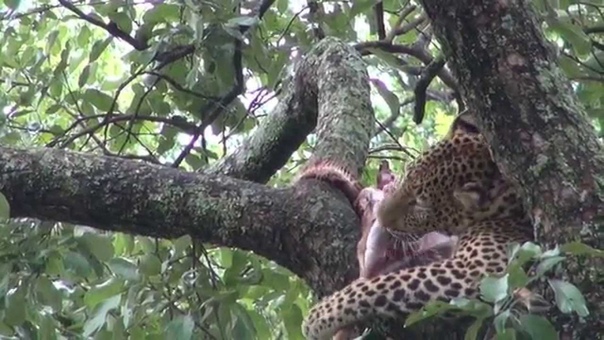 Южная Луангва