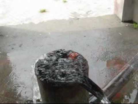 ● ПРИРОДА АЗЕРБАЙДЖАНА ●