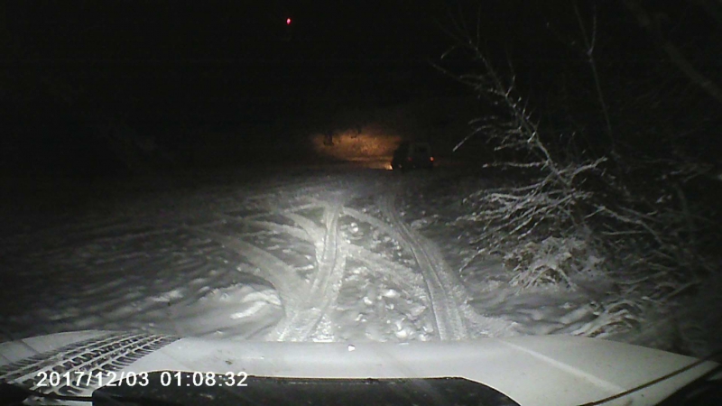 Лесная вечерняя покатушка