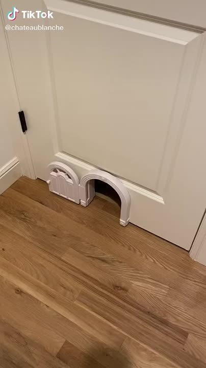 Милые животные)