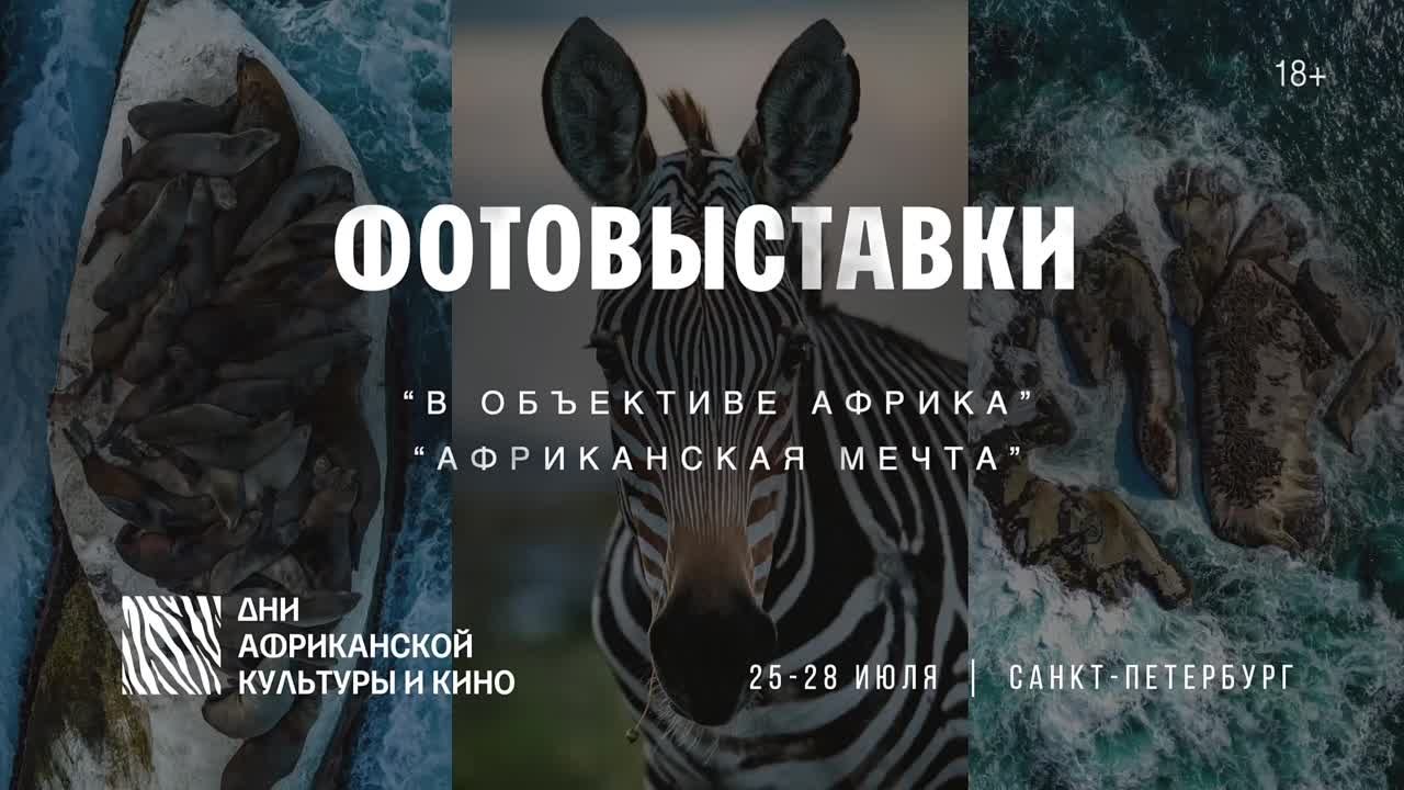 Кинопросмотры