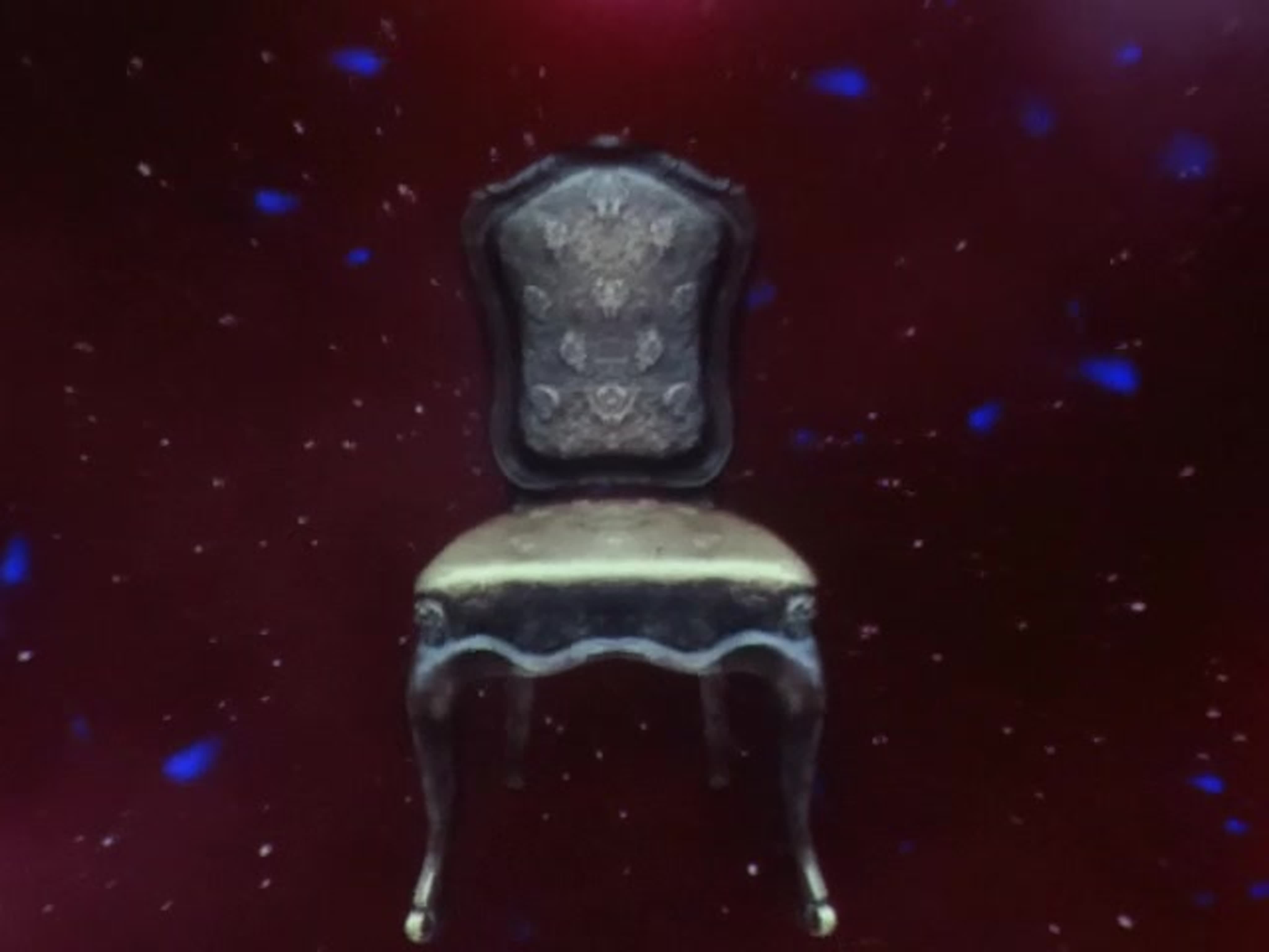 Цветочки, котики, революция 07.11.2020