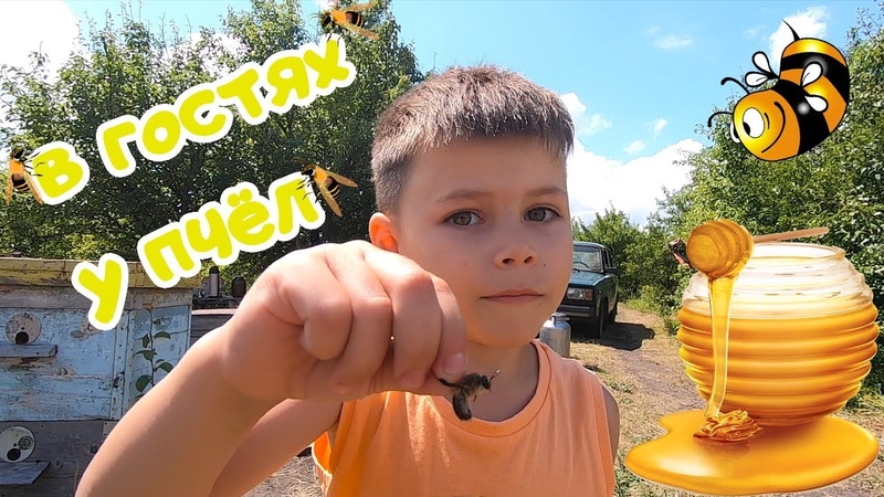 Детям о пчёлах