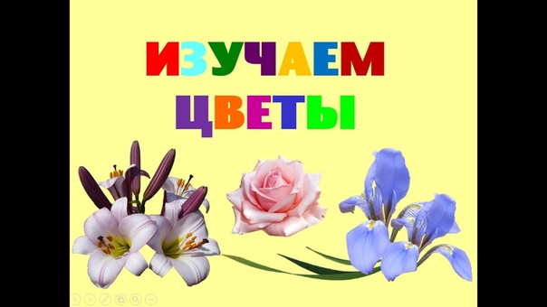 Мультфильмы о цветах
