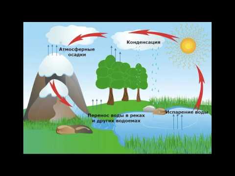 Детям о воде