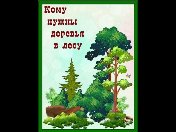 Изучаем лес