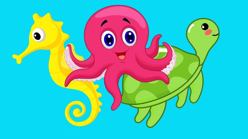 Морские обитатели