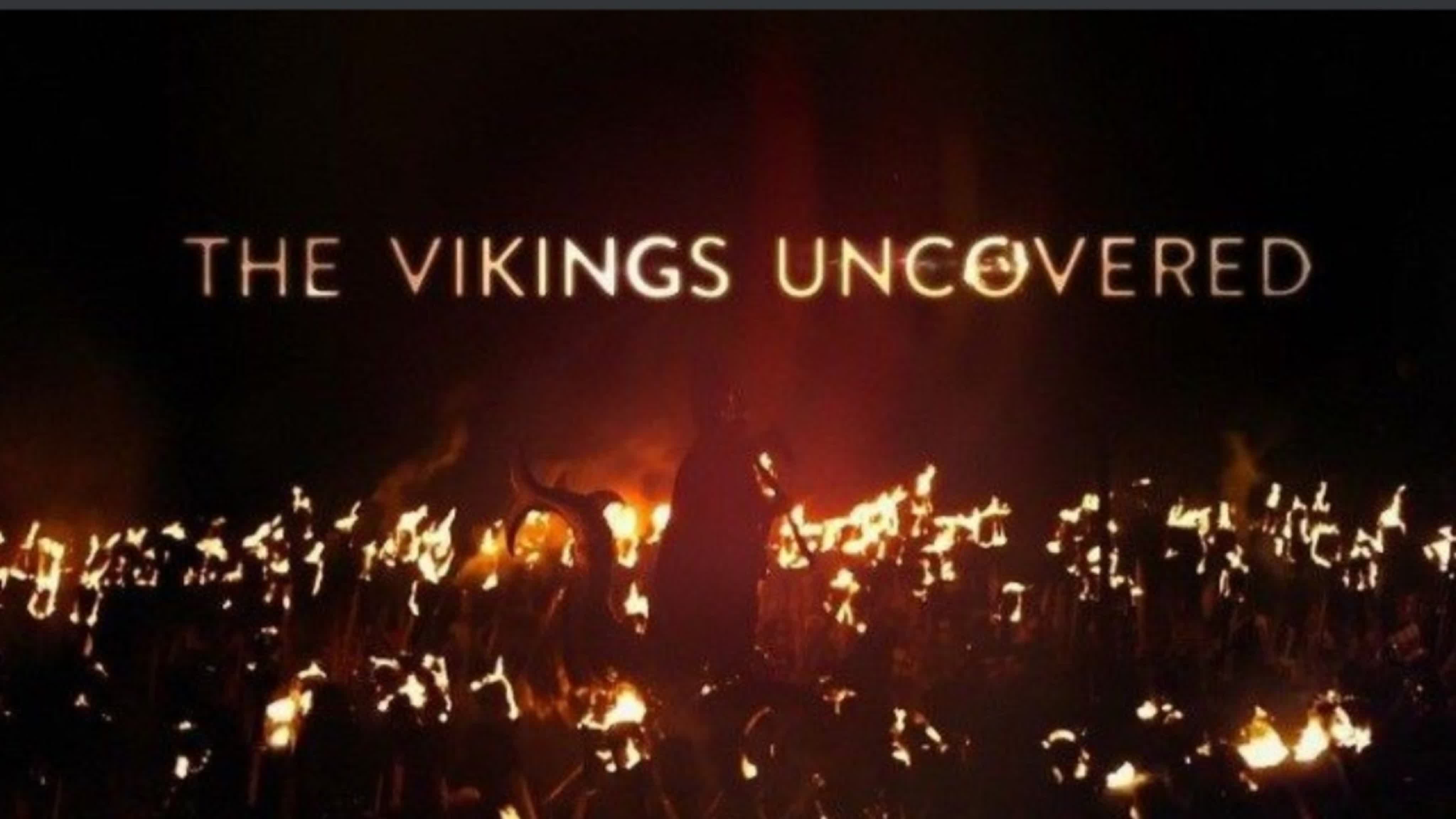 Ταŭӈӹ Βиκиӈгοβ / ΤҺę ṼᎥķᎥñĝş Úñĉονęŕęď (2016)