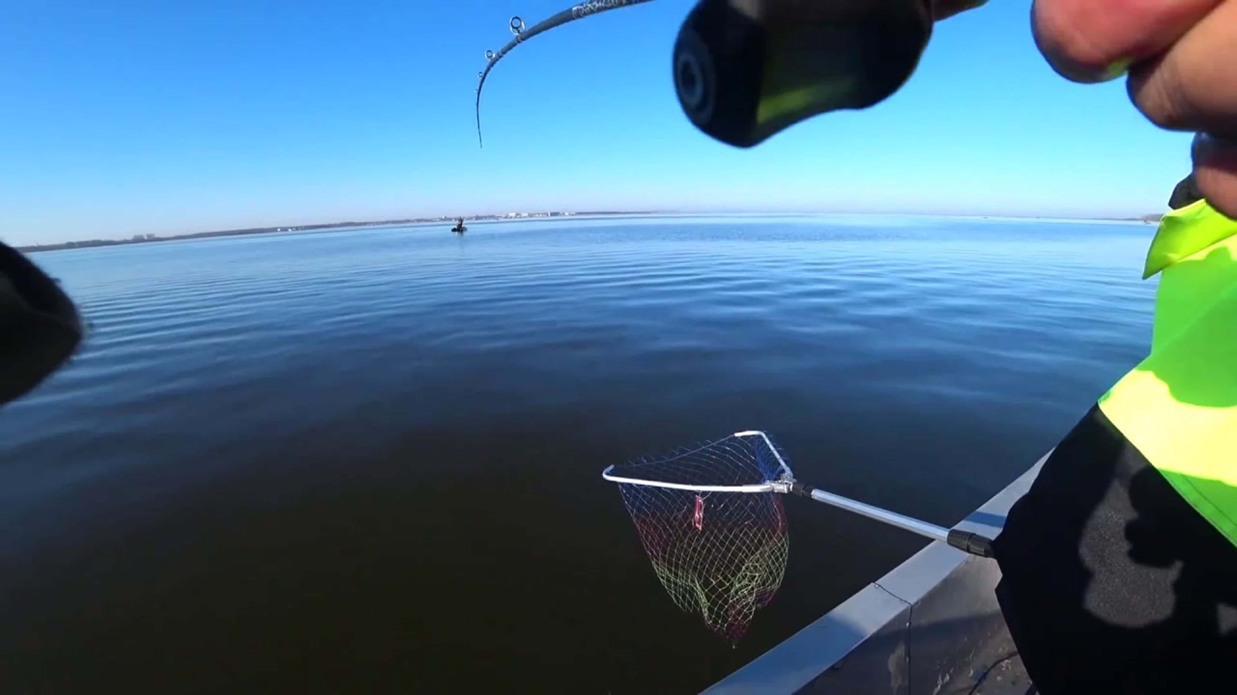 Мои Лучшие Рыбалки