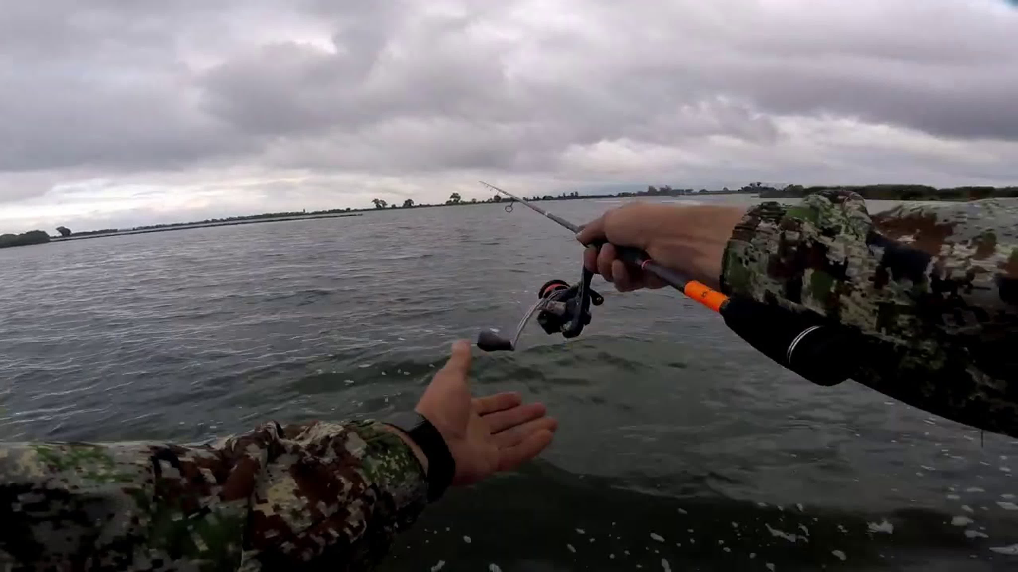 Сентябрь 2020