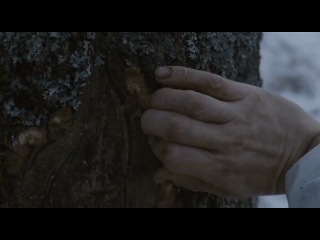 ФИЛЬМЫ / Боевики