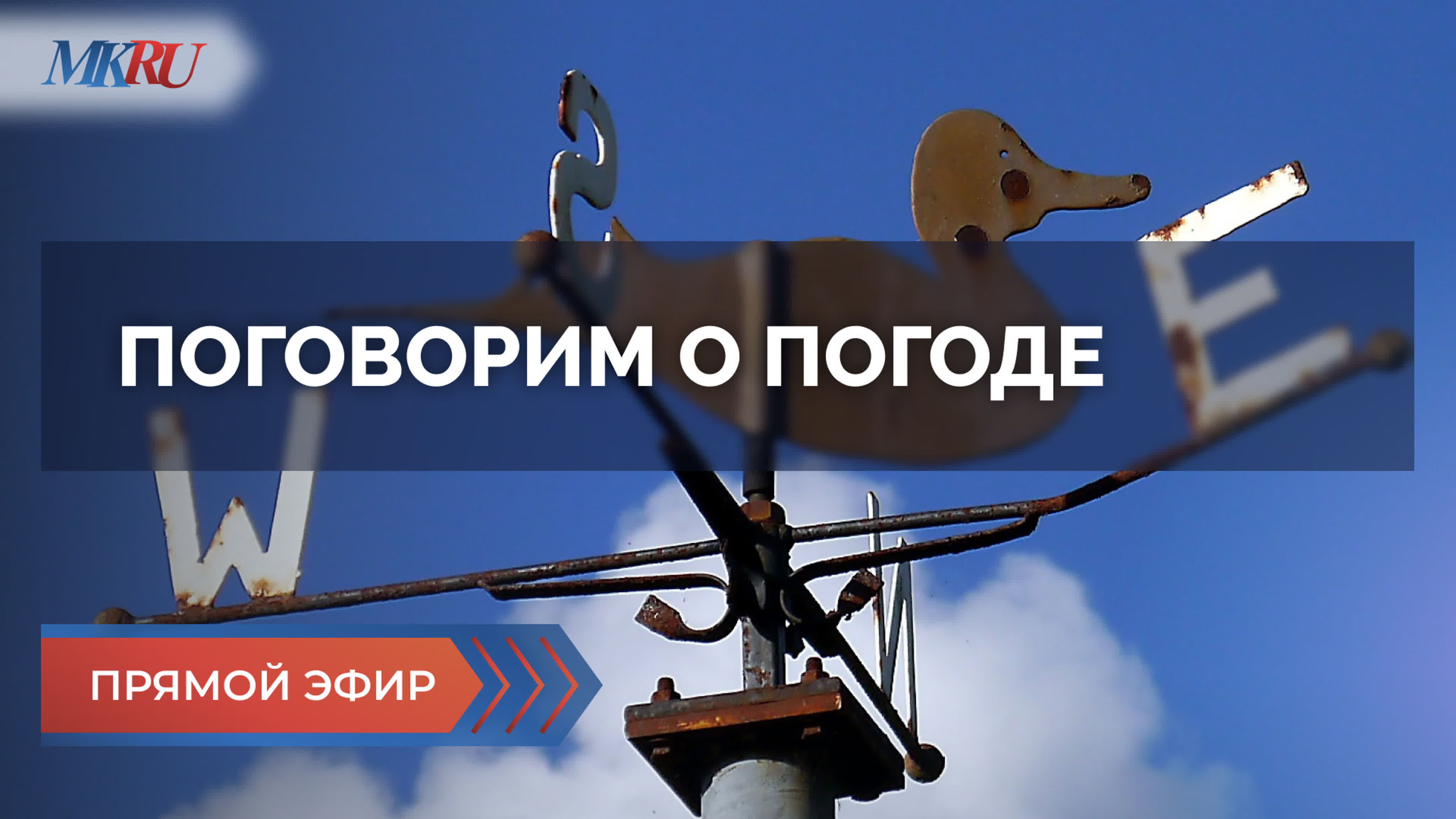 Погодные условия