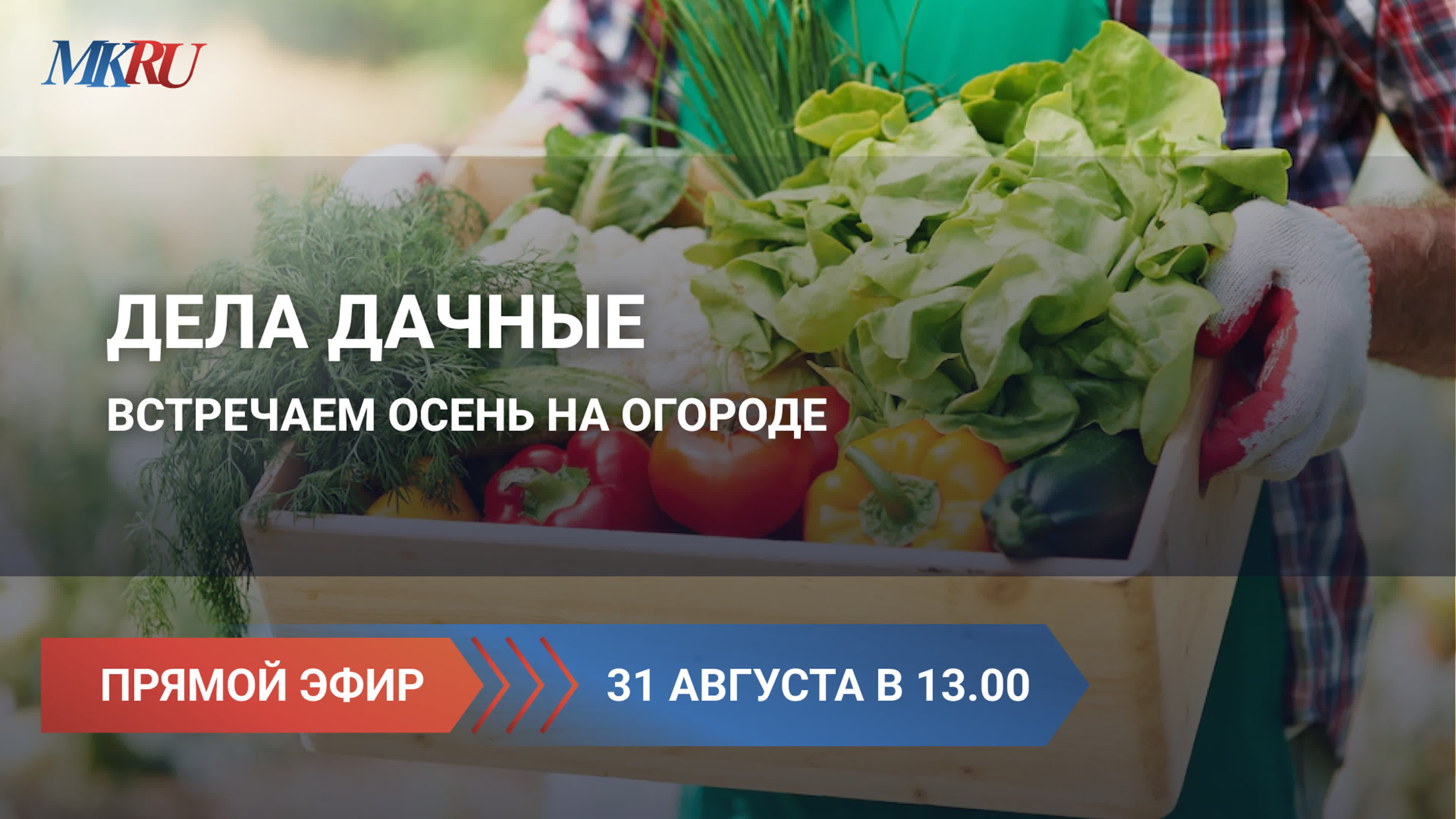 Жизнь за городом. Дача. Деревня