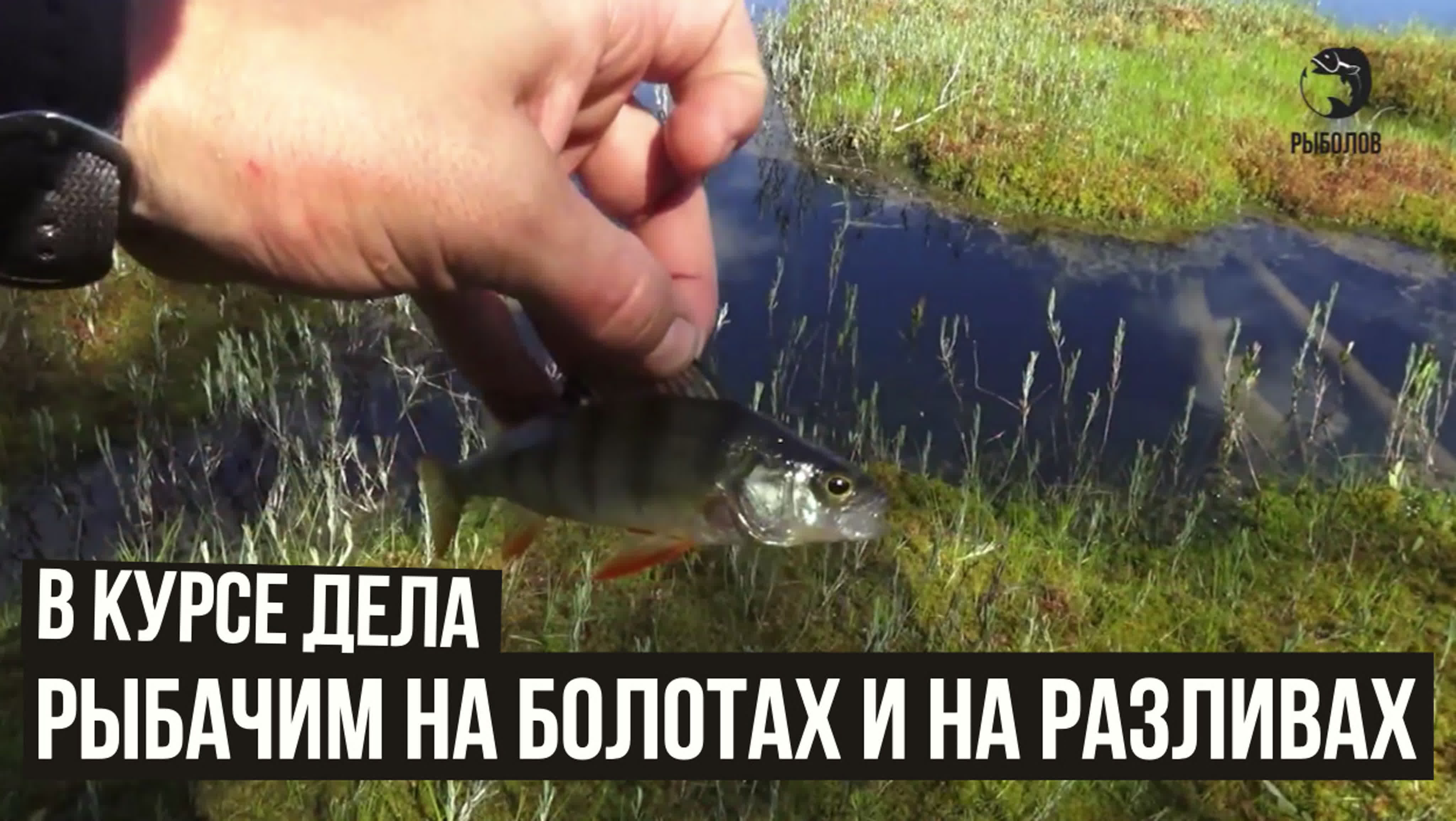 Рыба и рыбалка