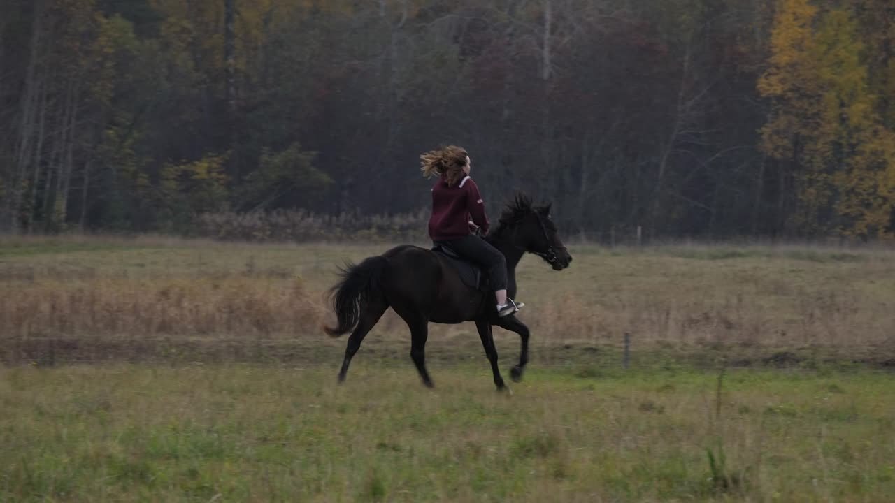 Сельская школа блогеров