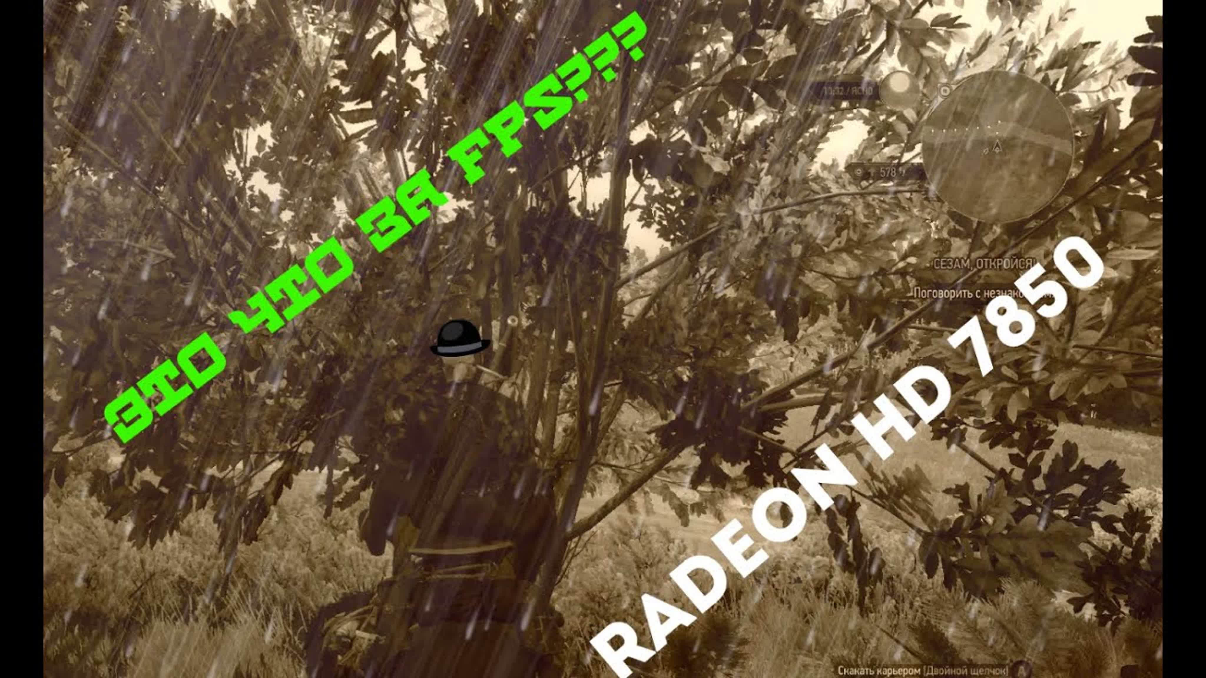 Обзор видеокарт