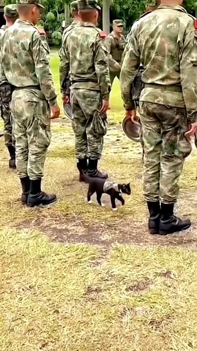 Письма в Никуда. Нас нет. Нас не было