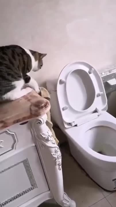 Это научит тебя более ценным вещам, чем деньги и техники.