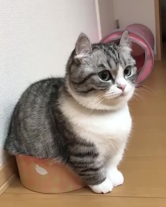 А шоо не так?Не может быть! Ну-ка, дайте посмотреть.