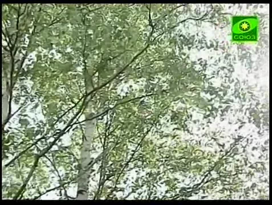 ❸_Летопись Серафимо-Дивеевского монастыря.