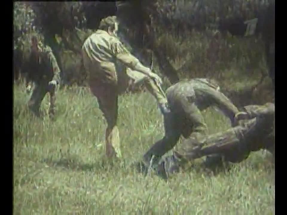 Боевая система Кадочникова.