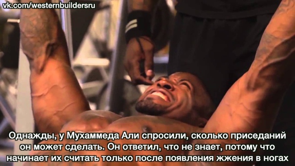 Плюшевая борода