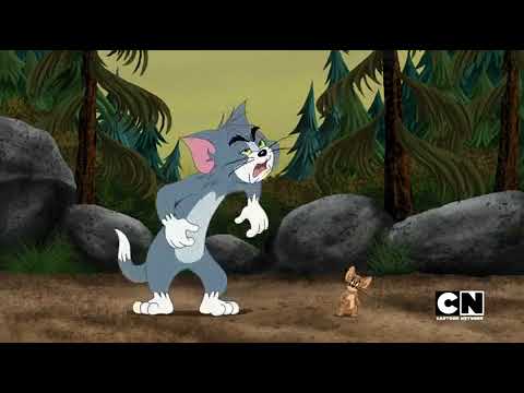 Tom and Jerry (1940 - 2020)