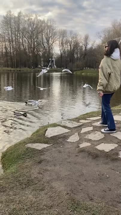 Видео для статей