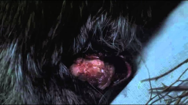 Slipknot  New Album Teaser (2014)