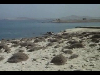 эротические фильмы