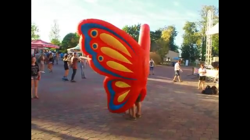 #КрыльяБабочки