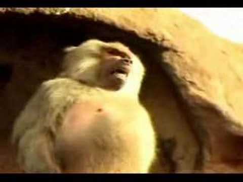 ПрИкОлЬнАя РеКлАмА