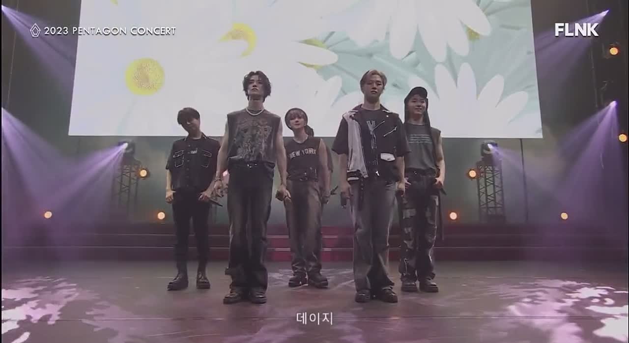 Концертные выступления | Showcase