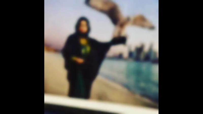 Стив Мак Карри