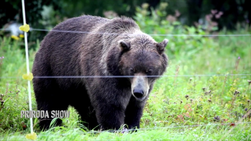 Из жизни фотографа